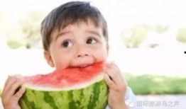 热门大瓜每日必吃大瓜 吃瓜视频在线,吃瓜视频，带你领略娱乐圈风云变幻