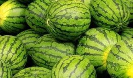 吃瓜网51官网版 吃瓜每日大赛,每日大赛精彩回顾，瓜友狂欢盛宴